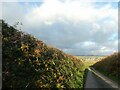 Road to Lamerton and view to Dartmoor in PL19 8NT