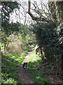 Path from All Saints Church in B95 5EW