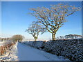 Winter scene, The Diffrick in Lanarkshire