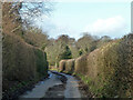 Lane towards Moor End in RG9 6ND