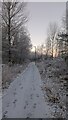 Old Footsteps in the Snow in EH48 2GH