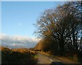 Winter sunlight on road north of North Brentor in PL19 0LS