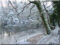 Ice on the River Clyde in G72 9LZ