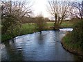 River Ebble, Coombe Bissett in SP5 4LR