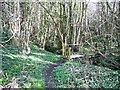 Footbridge in the woods in CF3 6XX