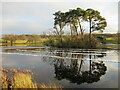 Patterns and reflections in loch, Douglas Estate in ML11 0QG