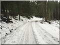 Forestry road near Lagavaich in AB37 9DQ