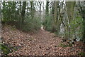 Footpath, Tilburstowhill Common in RH9 8LZ