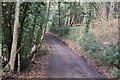 Track to Coldharbour in RH1 4PU