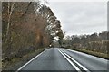 Wildhern: Newbury Road with Rag Wood on the left and Rag Copse on the right in SP11 0EZ