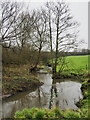 Meandering stream near to Alsager in CW11 4SB