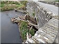 Llechryd Bridge Log Jam in SA43 2NR