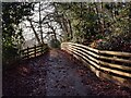 Path in Hurcott Woods in DY10 2PW