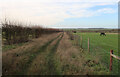 Permissive path around horse paddocks in PE28 9NB
