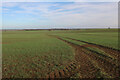 Farmland south of Hilton in PE28 9NB