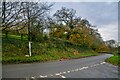 Parkham : Country Lane in EX39 5ET