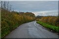 Woodtown : Country Lane in EX39 5EE