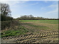 Muddy field entrance and Gartree Hill in Burton and Dalby