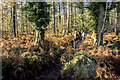 Cyclists in the forest in GL16 7GD