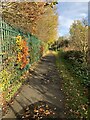 Footpath beside Chopwell Primary School in NE17 7HS