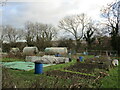 Allotments, Burton on the Wolds in LE12 5FF