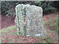 Standing stone near Blackpark Lodge in YO18 8ES