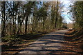 Forest road, Highmeadow Wood in GL16 8NZ
