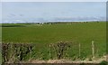 Pasture Fields Near Dinnans Hill in DG8 8HW