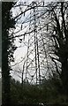 Pylon by Nightingales Lane, Chalfont St Giles in HP8 4SH