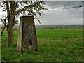 Kirby Wiske, Viewly Hill trig point in Thornton-le-Street