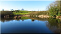 Pond off Station Rd, Broadley Fold in OL12 6BH