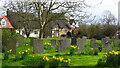 Churchyard & cottages at St Margaret's Church, Alderton in Alderton (Tewkesbury)