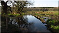 Flooded Avon Valley path, W of Bickton in SP6 2HA