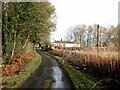 The lane to Fawcett Hill in Sandhoe