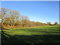 Grass field and wooded railway embankment near Pilton in Pilton