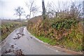 Luppitt : Country Lane in EX14 4UF