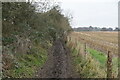 Muddy bridleway in RH1 4GD
