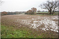 Wintry field on Withy Hill in B75 6JS