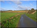 Road and farmland, Little Bedwyn in SN8 3JG