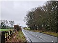 Looking east-southeast from Hermitage Farm along the road to Steep in GU34 3PU