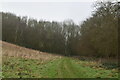 Footpath into the woods in ME9 7RU