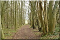 Footpath, Grinnels Wood in ME9 7RU