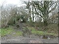 Muddy bridleway on Broad Down in EX24 6DL