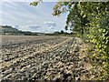 Ploughed field, Aston Rowant in Aston Rowant