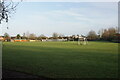 Village playing field in HP18 9GN