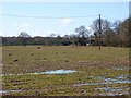 Farmland, Great Bedwyn in SN8 3LN