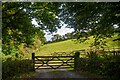 St Keverne : Grassy Field & Gate in TR12 6EW