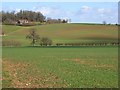 Farmland, Great Bedwyn in SN8 3LW