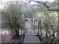 Pontdroed yn rhychwantu nant / A footbridge spanning a stream in SA31 3QL
