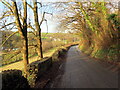 Heol i Ffynnon-ddrain / Road to Ffynnon-ddrain in SA31 3QL
